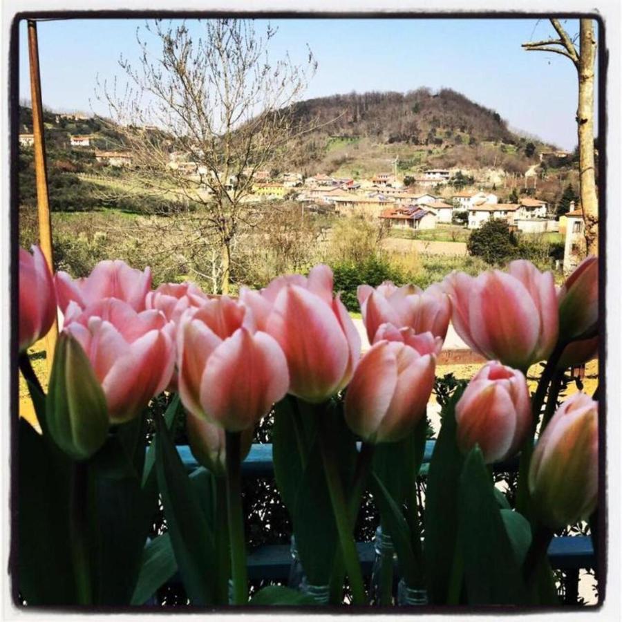 Belvedere Resort Ai Colli Galzignano Terme Exterior foto